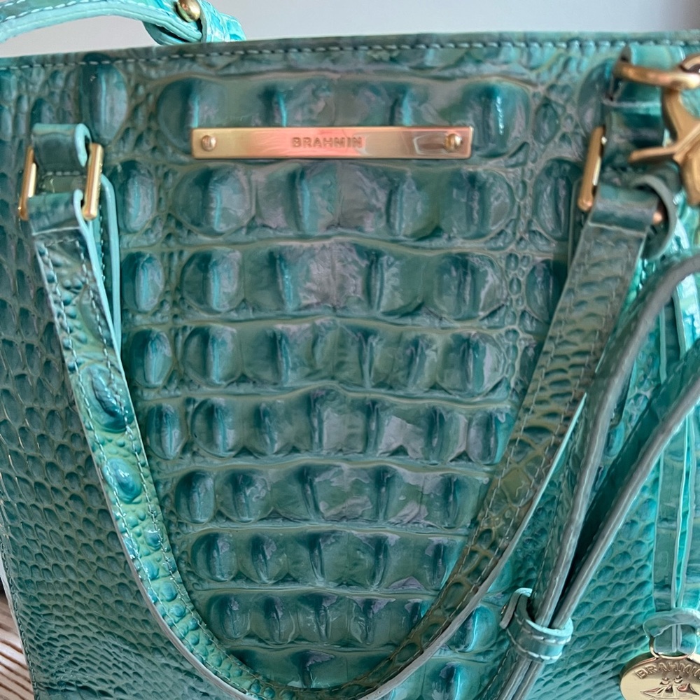 Brahmin Bag